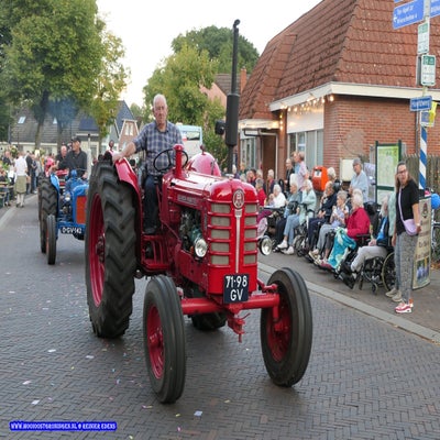 p1270186-standard.jpg