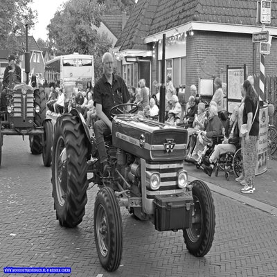 p1270190-standard.jpg