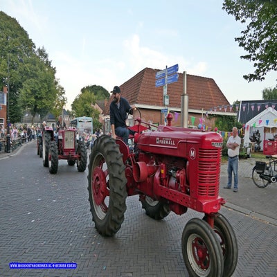 p1270193-standard.jpg