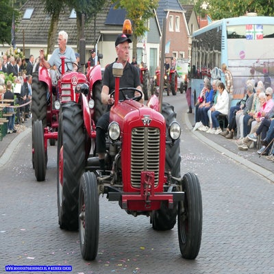 p1270210-standard.jpg
