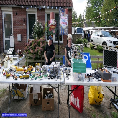 p1270232-standard.jpg