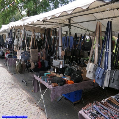 p1270253-standard.jpg
