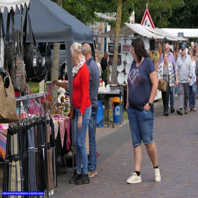 p1270258-standard.jpg