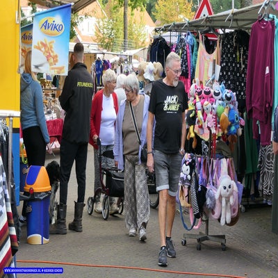 p1270262-standard.jpg