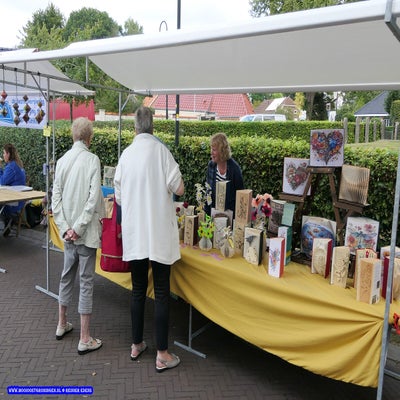 p1270265-standard.jpg