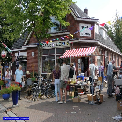 p1270291-standard.jpg