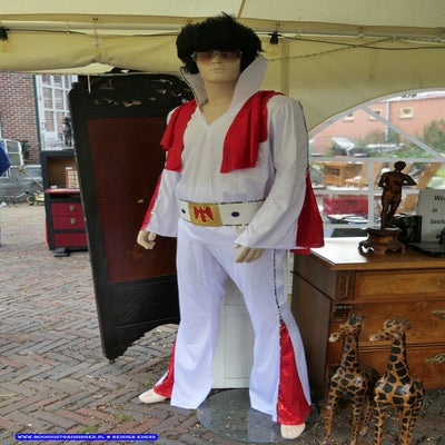 p1270296-standard.jpg