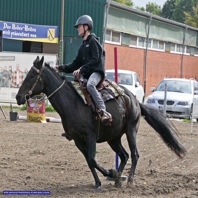 p1280086-standard.jpg