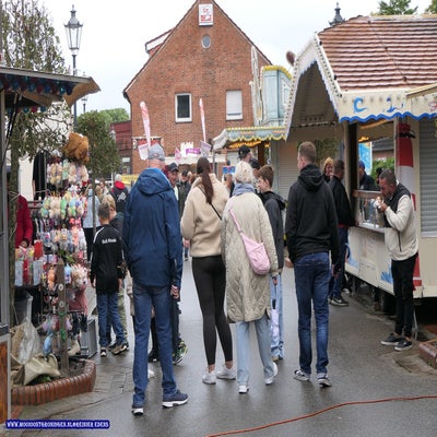 p1280554-standard.jpg