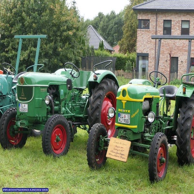 p1280560-standard.jpg