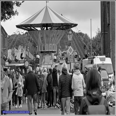 p1280635-standard.jpg