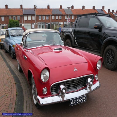 p1280647-standard.jpg