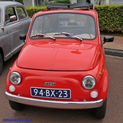 p1280655-standard.jpg