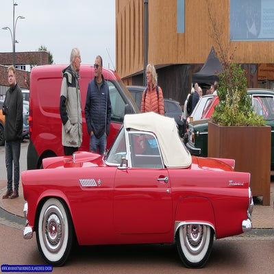 p1280660-standard.jpg
