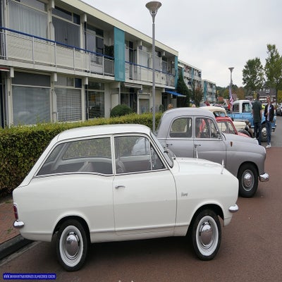 p1280661-standard.jpg