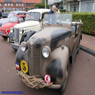 p1280666-standard.jpg