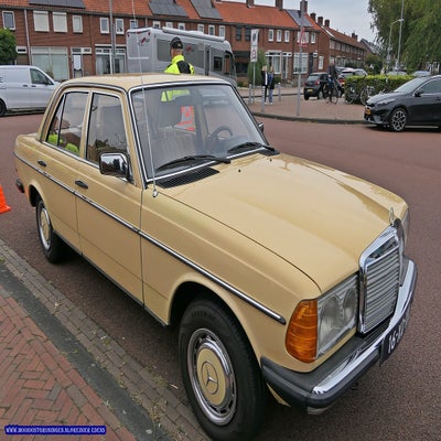 p1280672-standard.jpg