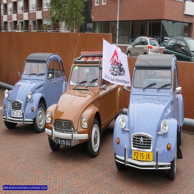 p1280681-standard.jpg