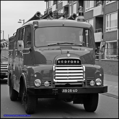 p1280709-standard.jpg