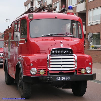 p1280710-standard.jpg