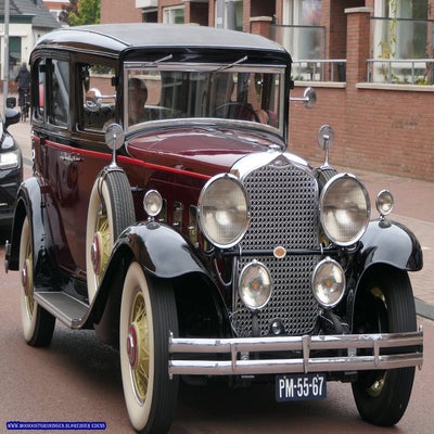 p1280712-standard.jpg