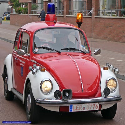 p1280717-standard.jpg