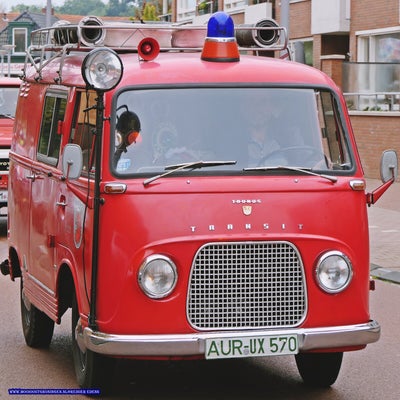 p1280718-standard.jpg