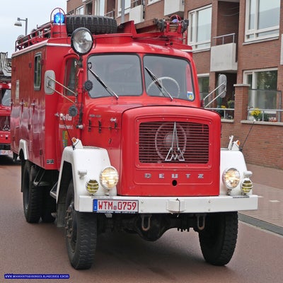 p1280727-standard.jpg