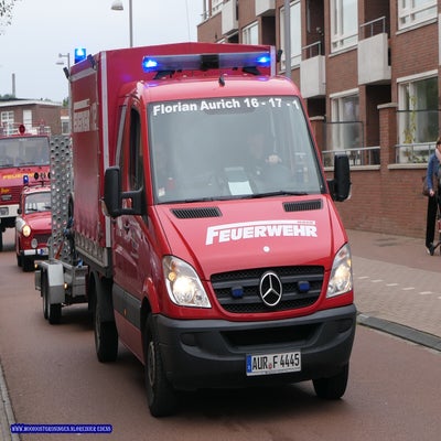 p1280735-standard.jpg