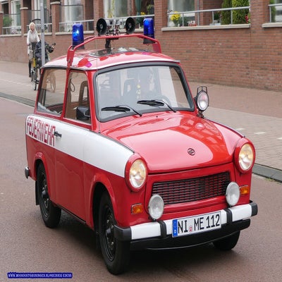 p1280741-standard.jpg