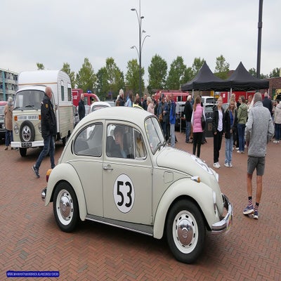 p1280761-standard.jpg