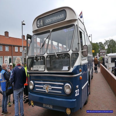 p1280773-standard.jpg