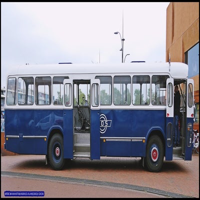 p1280776-standard.jpg