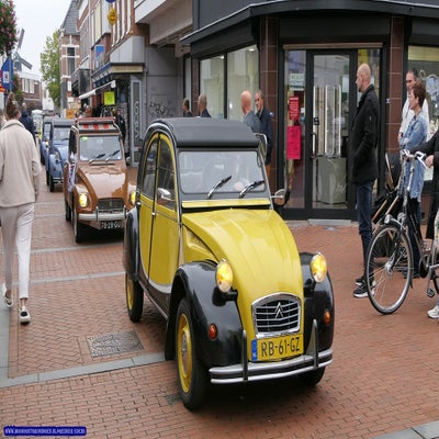 p1280781-standard.jpg