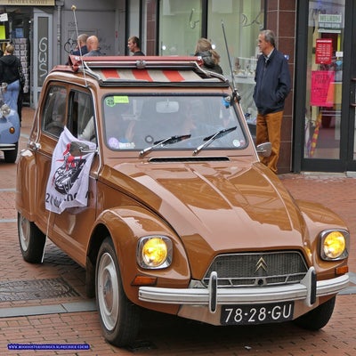 p1280782-standard.jpg