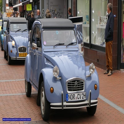 p1280784-standard.jpg