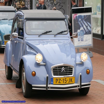 p1280785-standard.jpg