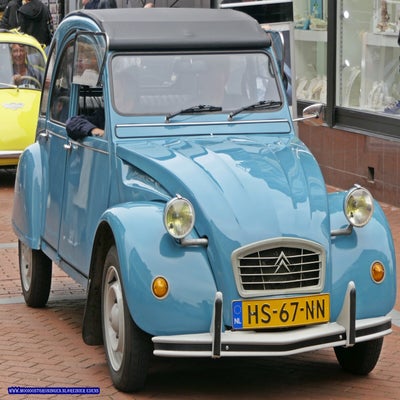 p1280787-standard.jpg
