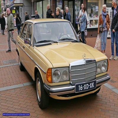 p1280794-standard.jpg