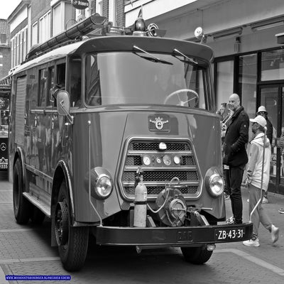 p1280806-standard.jpg