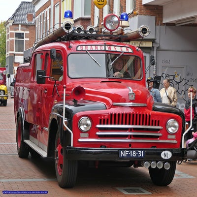 p1280816-standard.jpg