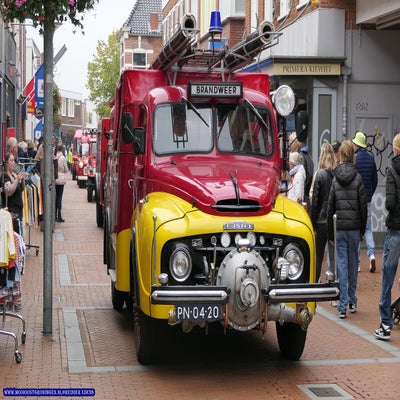 p1280822-standard.jpg