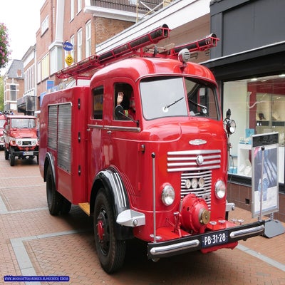 p1280827-standard.jpg