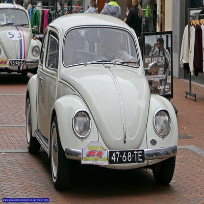 p1280847-standard.jpg