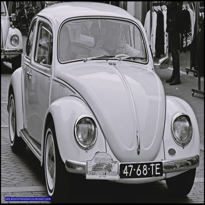p1280848-standard.jpg