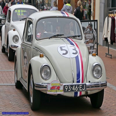 p1280850-standard.jpg