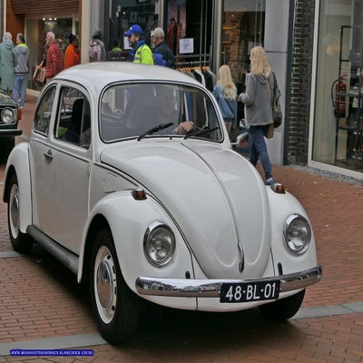 p1280855-standard.jpg