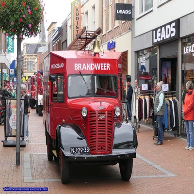 p1280877-standard.jpg