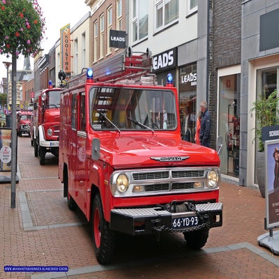 p1280886-standard.jpg