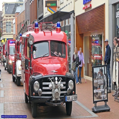 p1280896-standard.jpg